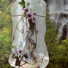 Water Creature, 2007