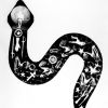 Untitled (Snake #1), 1984