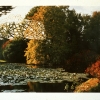 Verdant Pond/Bois De Boulogne, 1997