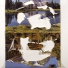 Mountain Reflections/Saiho-Ji Temple, 1998