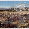 California Desert Wildflowers/French Garden Labyrinths, 1998, Detail