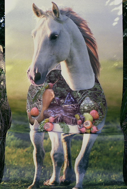 Horse with Cat and Persimmons, 2009