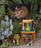 Riparian Wood Rat with Radishes, 2016