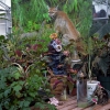 Greenhouse/Florida Panther, 2011