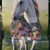 Horse with Cat and Persimmons, 2009