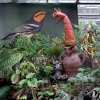 Greenhouse/Golden Cheeked Warbler, 2012