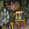 Riparian Wood Rat with Radishes, 2016